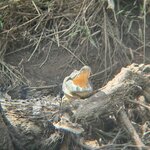 Photo taken by Trish G