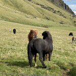 Photo taken by Kannan M