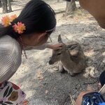 Photo taken by Caz J