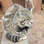 Photo taken by Amanda H