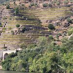 Photo taken by Brian M Photo taken by Brian M