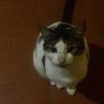 Photo taken by Claudia S