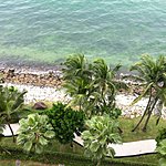 10th floor view of palm trees | Photo taken by Rodney S