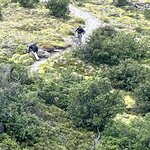 Photo taken by Ruth E