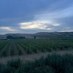 Photo taken by Bailey R