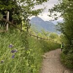 Photo taken by Laura H