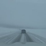 Photo taken by Lisa T