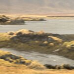 Photo taken by Julie M