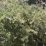 Photo taken by Maria R