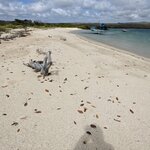 Photo taken by Jennifer A