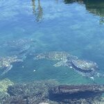 Photo taken by Nicole S