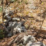 Photo taken by Elena R