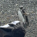 Photo taken by Sandra B