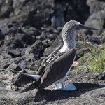 Photo taken by Vinay K