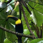 Photo taken by Lee B