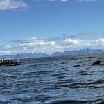 Photo taken by Jared B