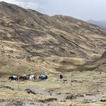 Photo taken by martin M