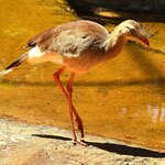 Photo taken by Dennis H