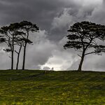 Photo taken by Jean M