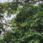 Photo taken by Esther B