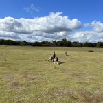 Photo taken by Amy Z