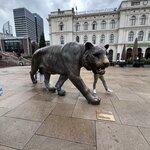 Photo taken by Lois S