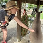 Photo taken by Katie E