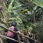 Photo taken by Shannon S