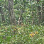 Photo taken by Cayden S