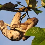 Photo taken by Randy H