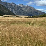 Photo taken by Lisa S