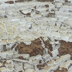 Photo taken by Karen P