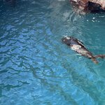 Photo taken by Gary W