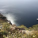 Photo taken by Victoria P