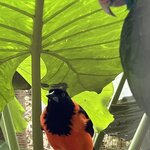 Photo taken by Andrew S