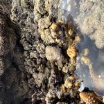 Photo taken by Bailey W