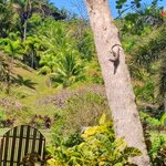 Photo taken by Brett F