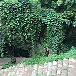 Photo taken by John David W