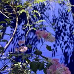 Photo taken by Jay H