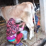 - | Photo taken by Karen W