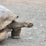 Photo taken by Lisa T