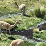 Photo taken by Eric H