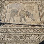 Photo taken by Mark W