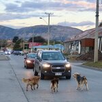 Photo taken by Joe S