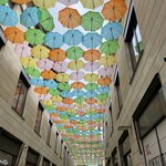 Photo taken by Queenie C