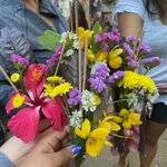 Photo taken by Suprema M