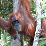 Photo taken by Matteo R