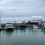 Photo taken by William F