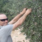 Photo taken by fern k