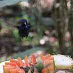 Photo taken by Kelvin V